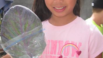 Child holding up a leaf.