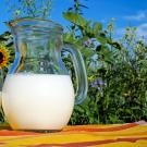 a pitcher of milk next to sunflowers