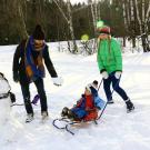 family playing in the snow