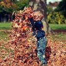boy playing in the leaves