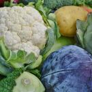 close up of vegetables 